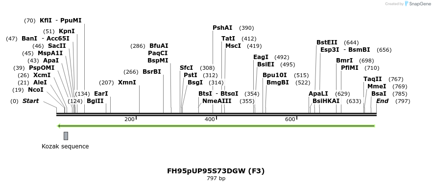 141603_map