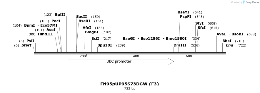 141606_map