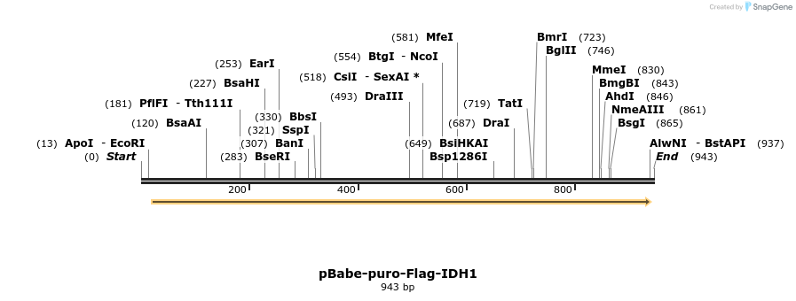 141608_map