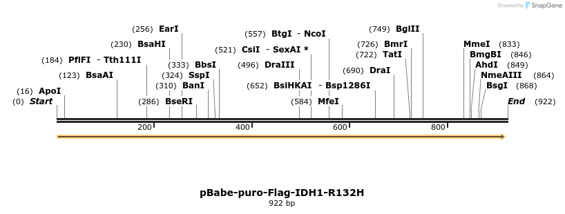 141610_map