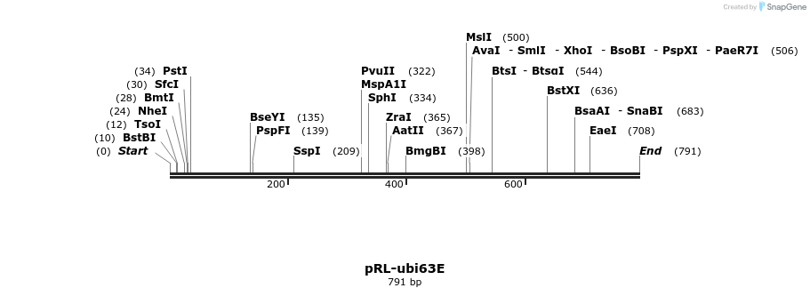 141611_map