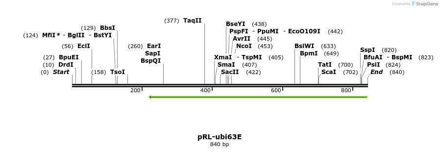141612_map