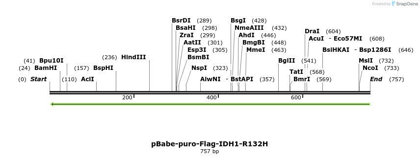 141615_map