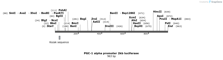 141617_map