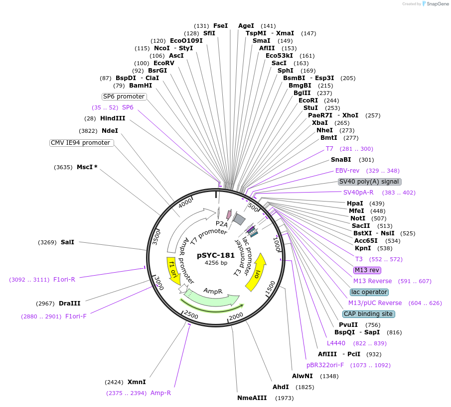 141619_map