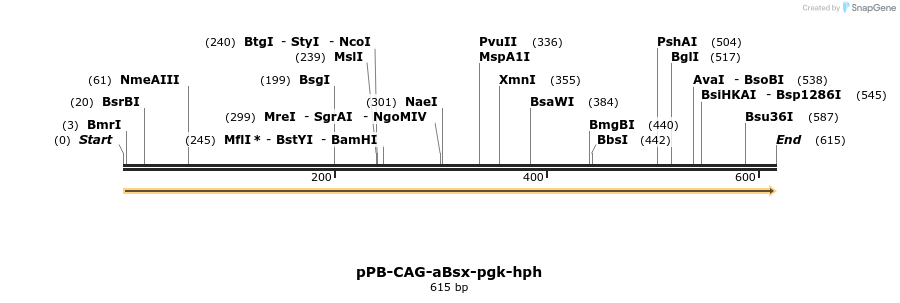 141624_map