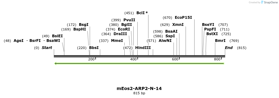 141633_map