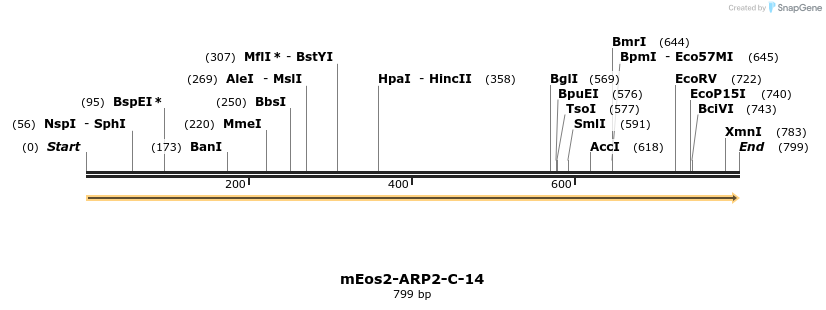 141634_map