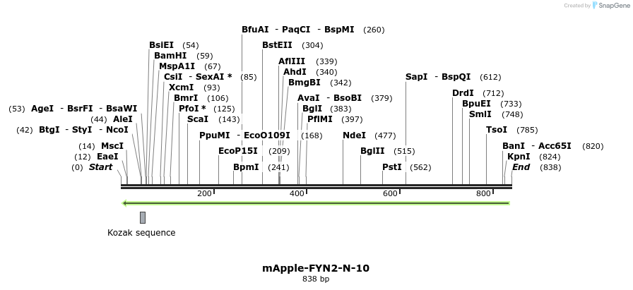 141635_map