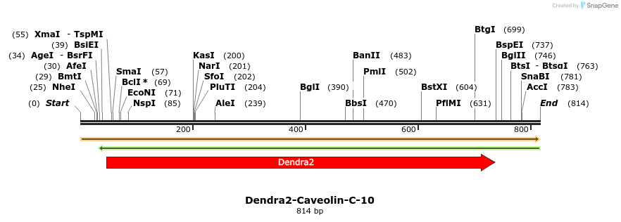 141654_map
