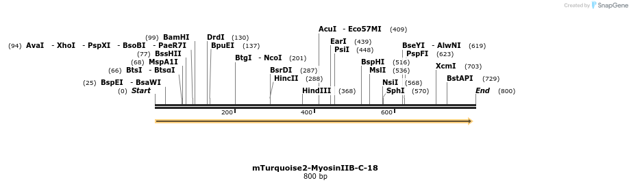 141661_map