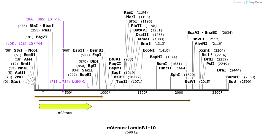 141666_map