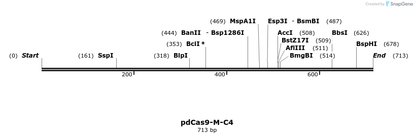 141668_map