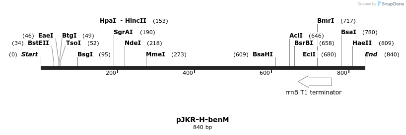 141670_map