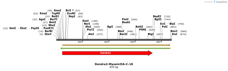 141672_map