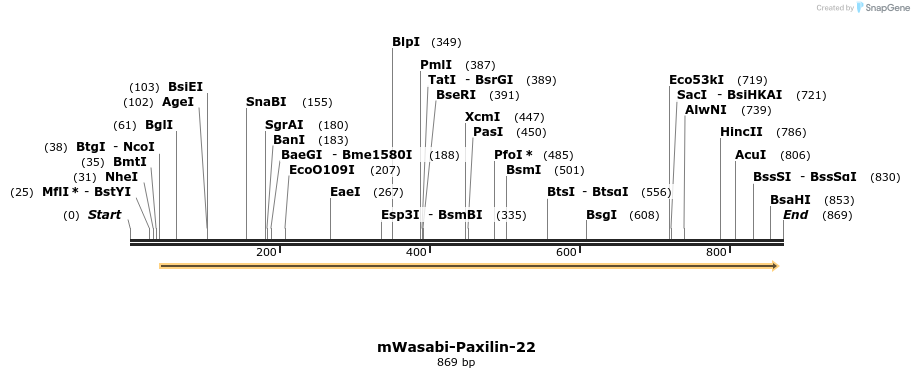 141674_map