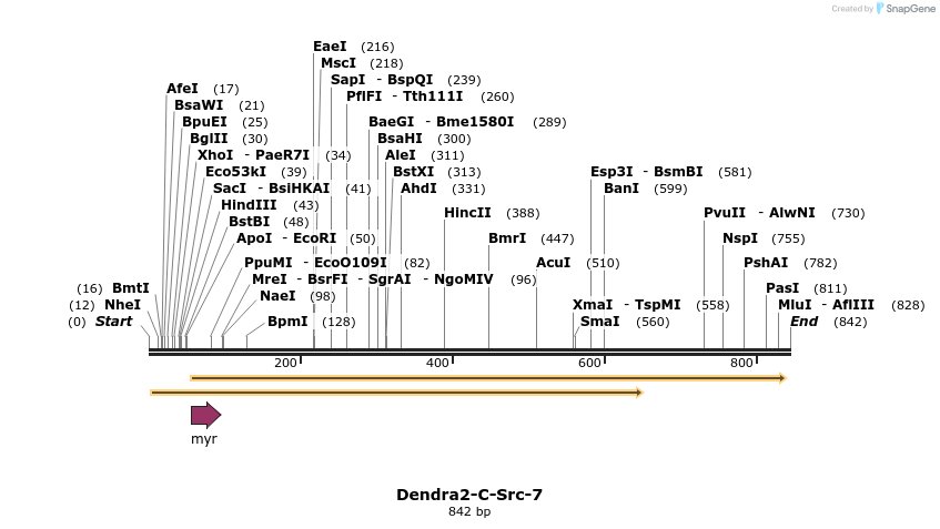 141675_map