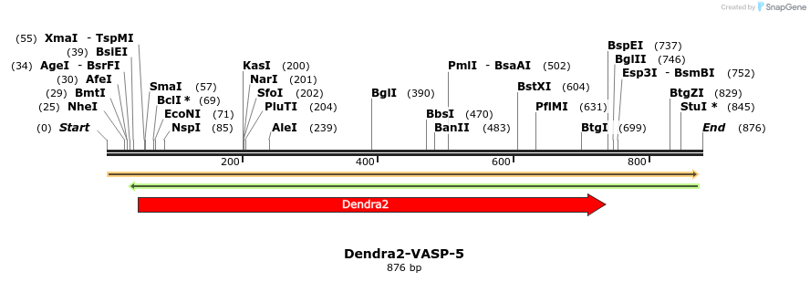 141676_map