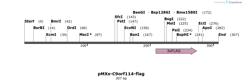 141677_map