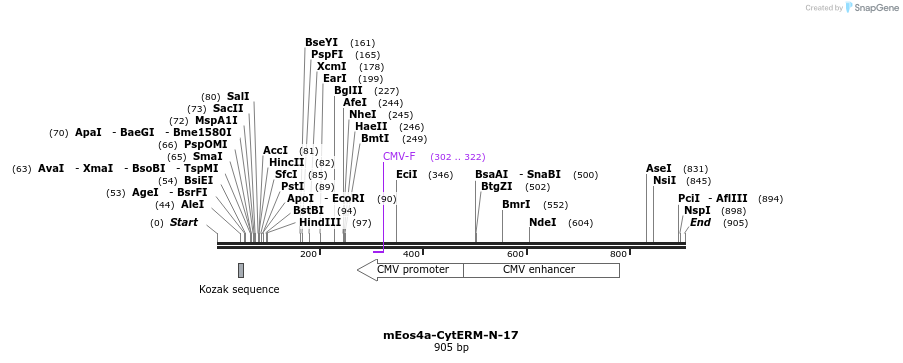 141681_map