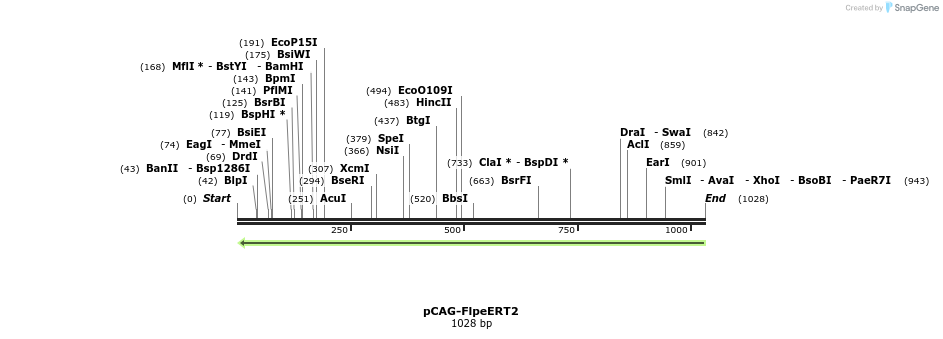 141684_map
