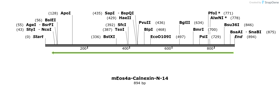 141685_map