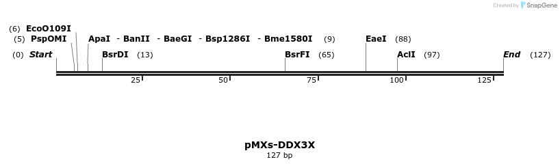 141687_map
