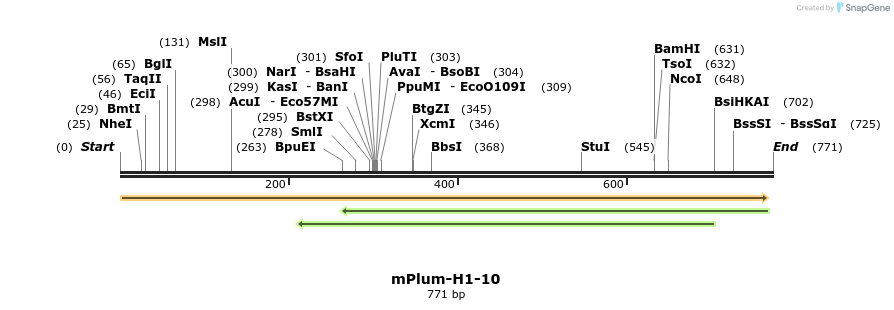 141689_map