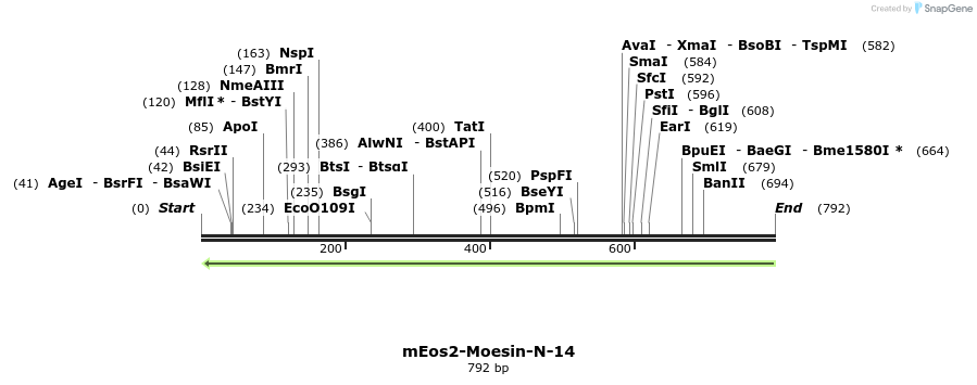 141691_map