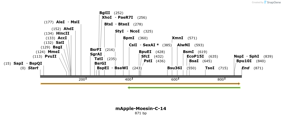 141693_map