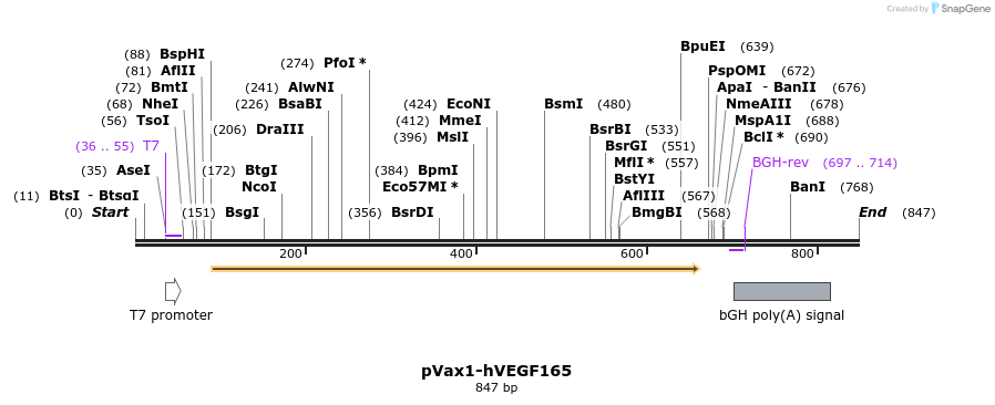 141694_map