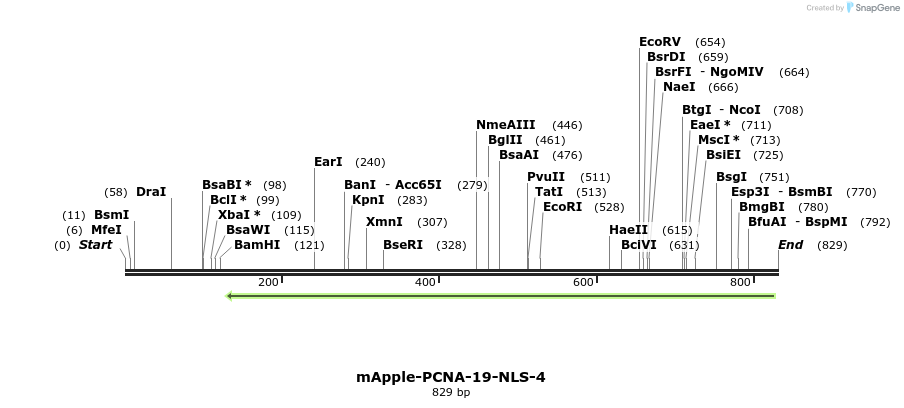 141697_map