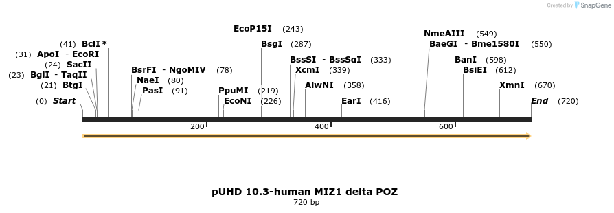 141698_map