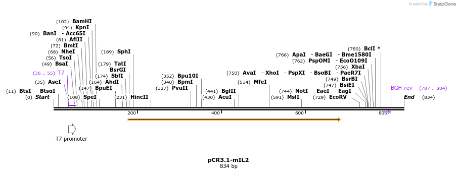 141701_map