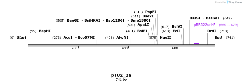 141705_map