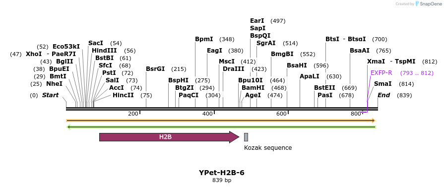 141706_map