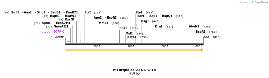 141707_map
