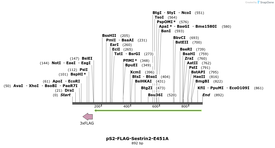 141709_map
