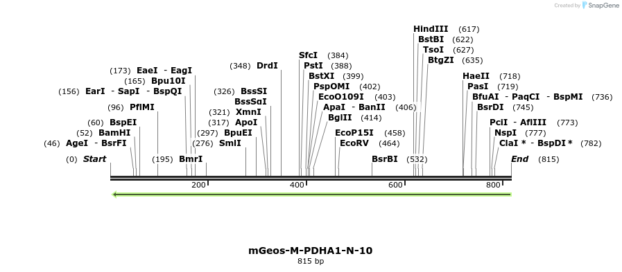141715_map