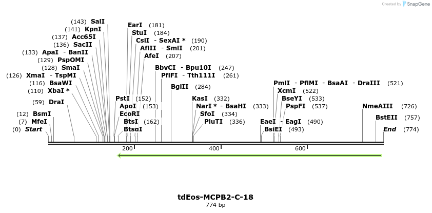 141716_map