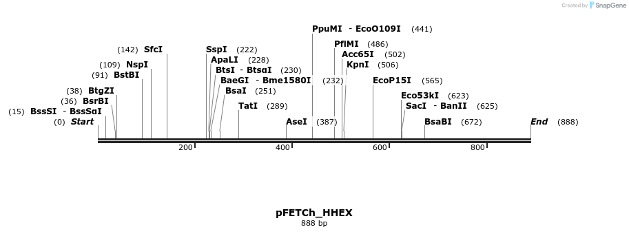 141719_map