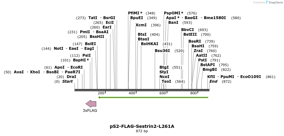 141721_map