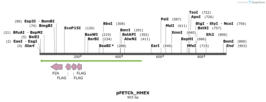 141722_map
