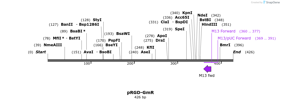 141725_map