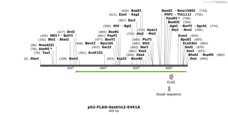 141726_map