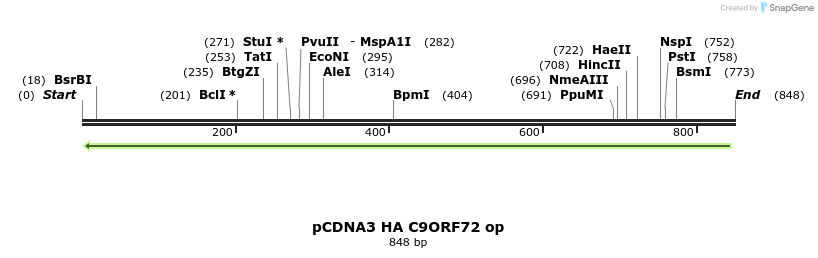 141740_map