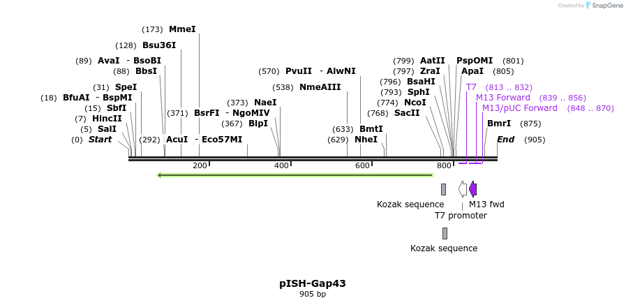 141741_map