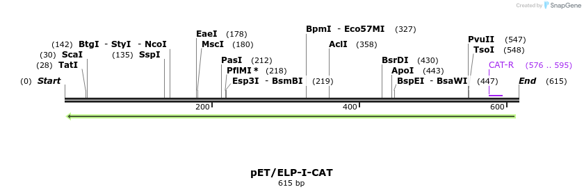 141742_map