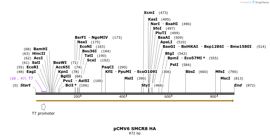 141743_map
