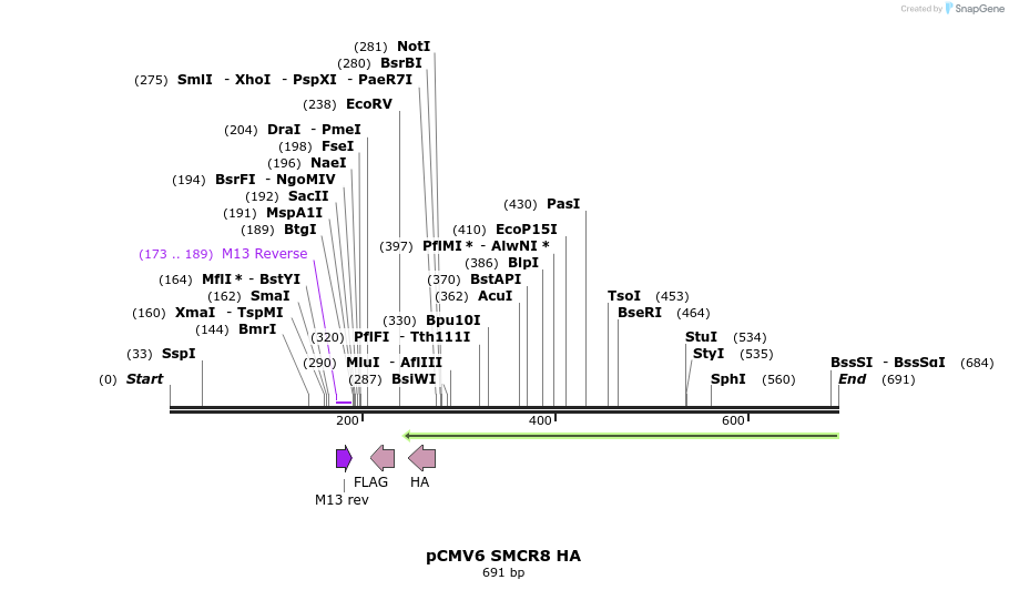 141745_map